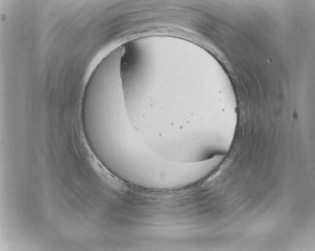 X0000070831530200607142328