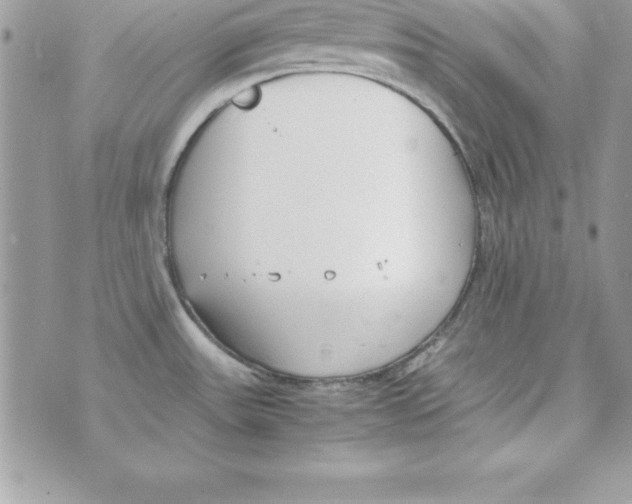 X0000070831531200607142328