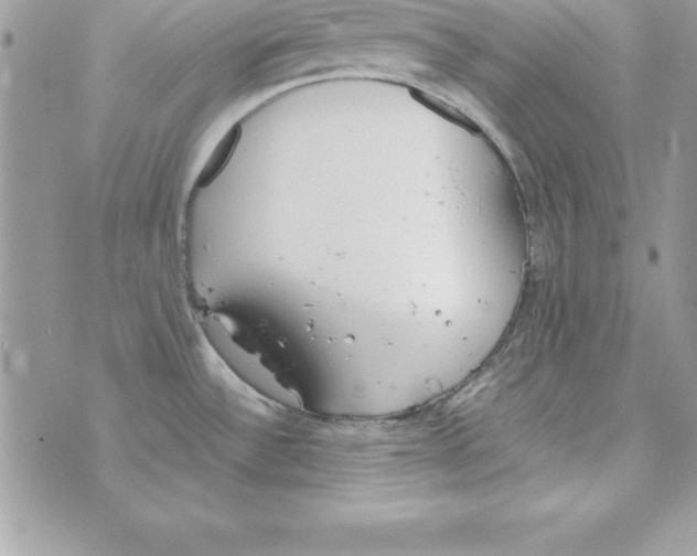 X0000070831532200607142328