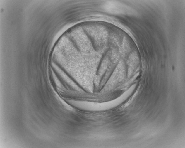 X0000070831533200607142328