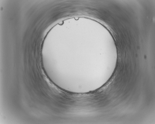 X0000070831534200607142328