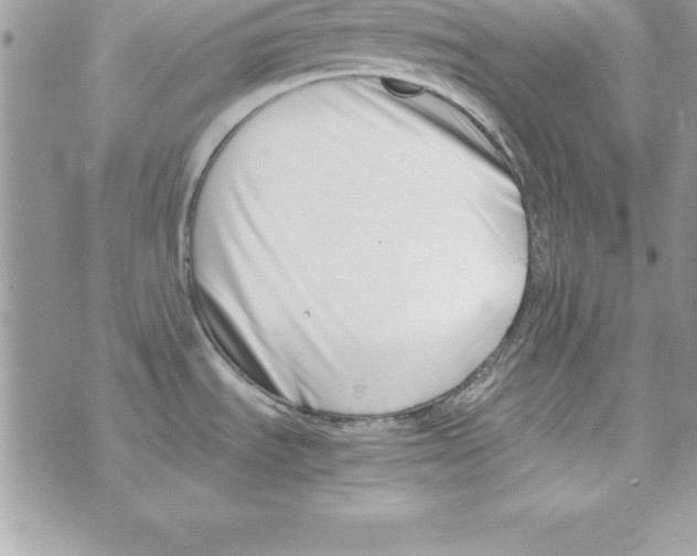 X0000070831535200607142328