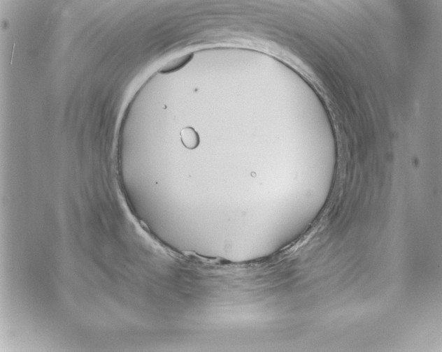 X0000070831536200607142328