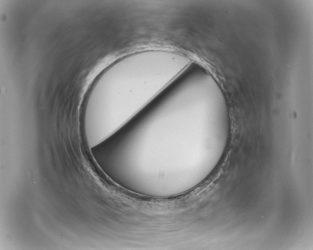 X0000070850008200606160954