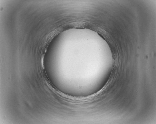X0000070850047200606160953