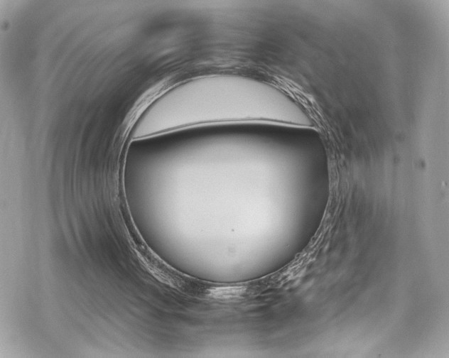 X0000070850051200606160952