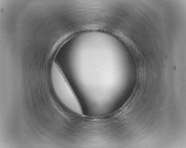 X0000070850064200606160953