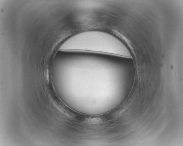 X0000070850067200606160953