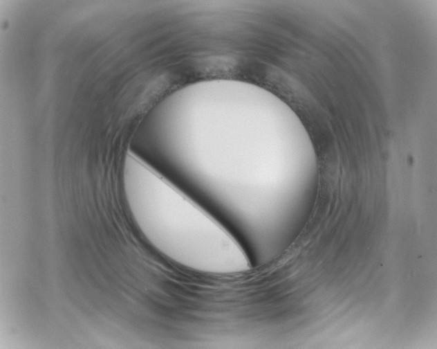 X0000070850083200606160953
