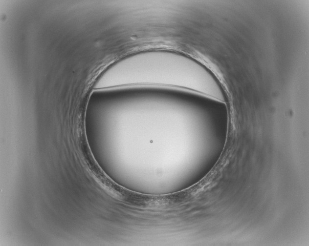 X0000070850105200606160952