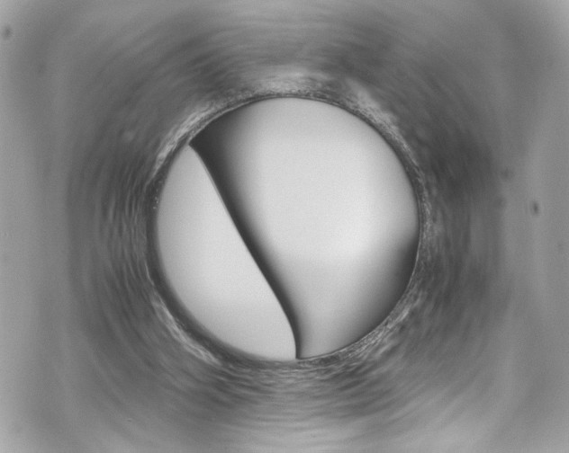 X0000070850106200606160952