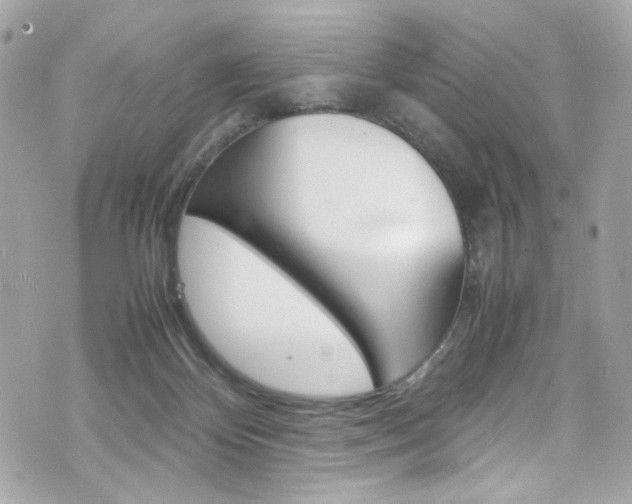 X0000070850124200606160952
