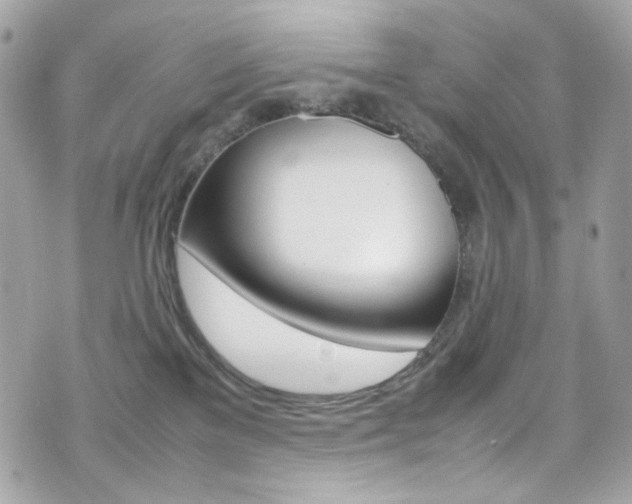X0000070850137200606160952