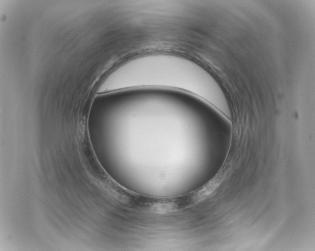 X0000070850168200606160951