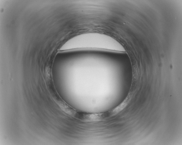 X0000070850184200606160951