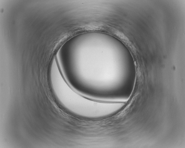 X0000070850201200606160951