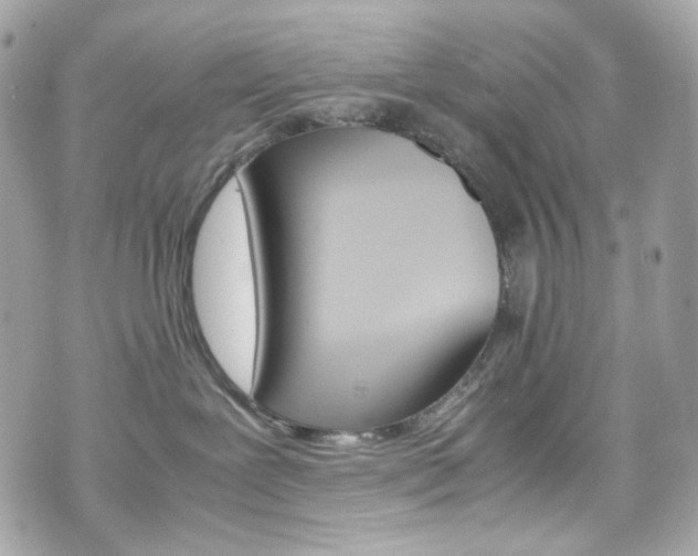 X0000070850239200606160950