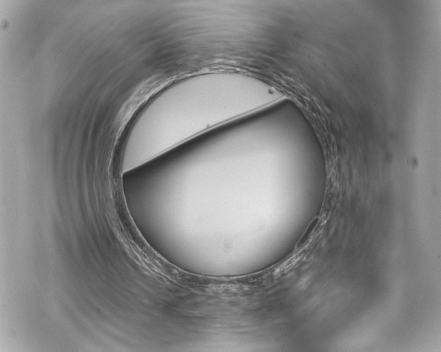 X0000070850242200606160949