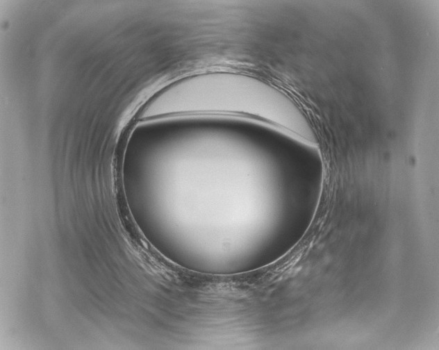 X0000070850244200606160949