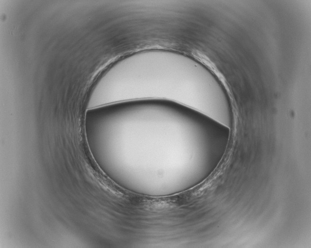 X0000070850249200606160949