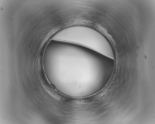 X0000070850250200606160949