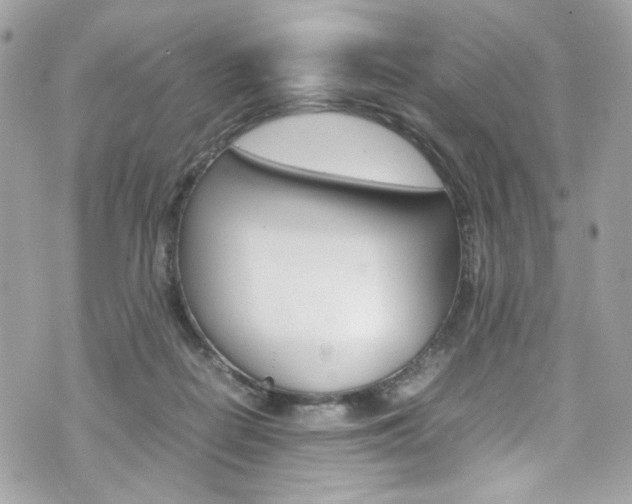 X0000070850266200606160950