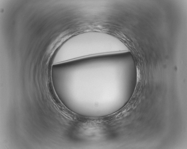 X0000070850291200606160949