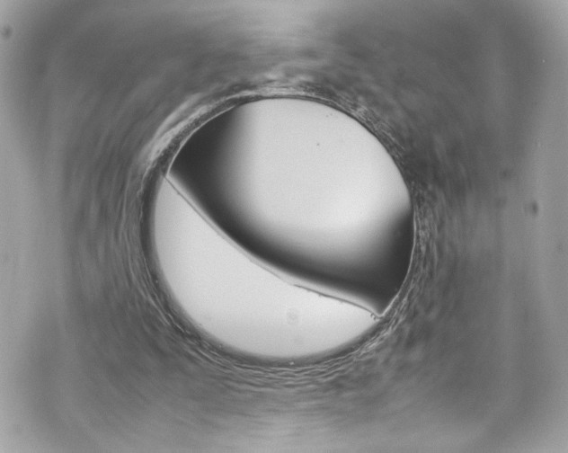 X0000070850295200606160949