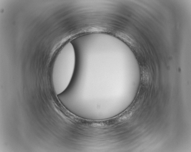 X0000070850302200606160949