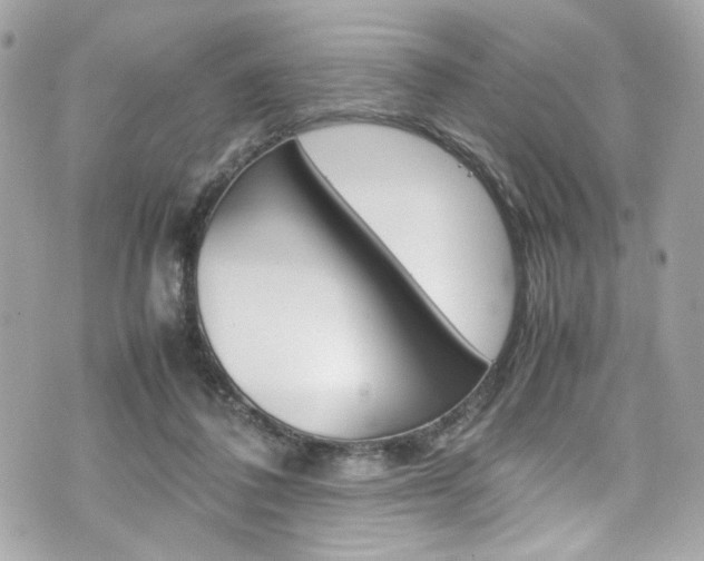 X0000070850308200606160949