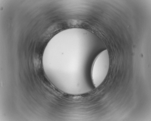 X0000070850324200606160948