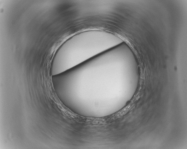 X0000070850337200606160947