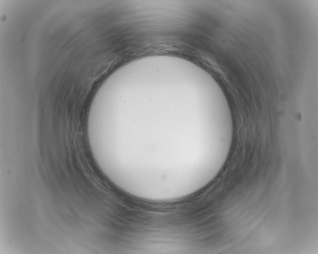 X0000070850362200606160948