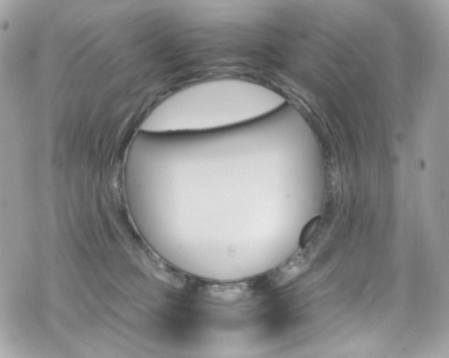 X0000070850373200606160948