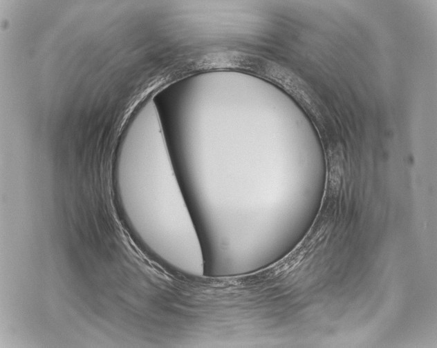 X0000070850386200606160947