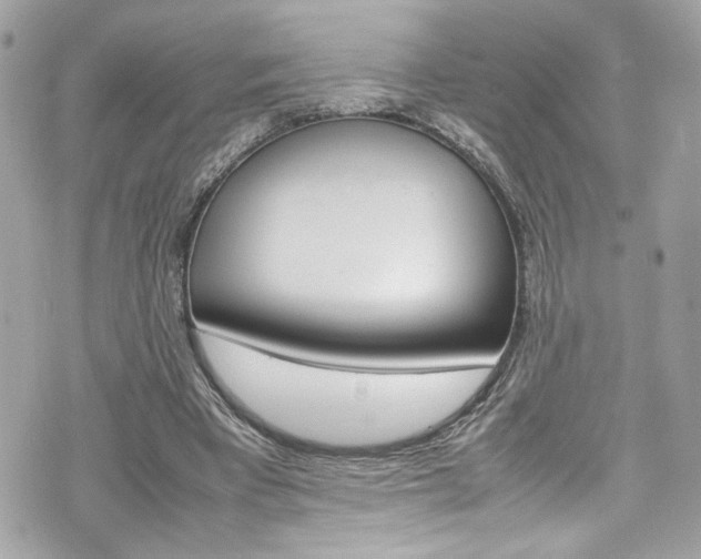 X0000070850393200606160947