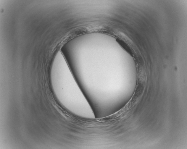 X0000070850405200606160947