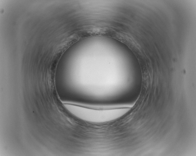 X0000070850416200606160947