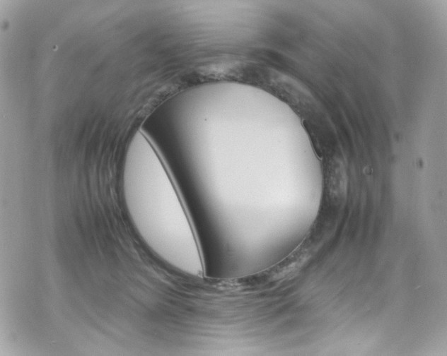 X0000070850420200606160947