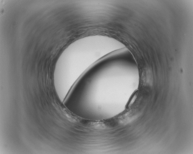 X0000070850424200606160947