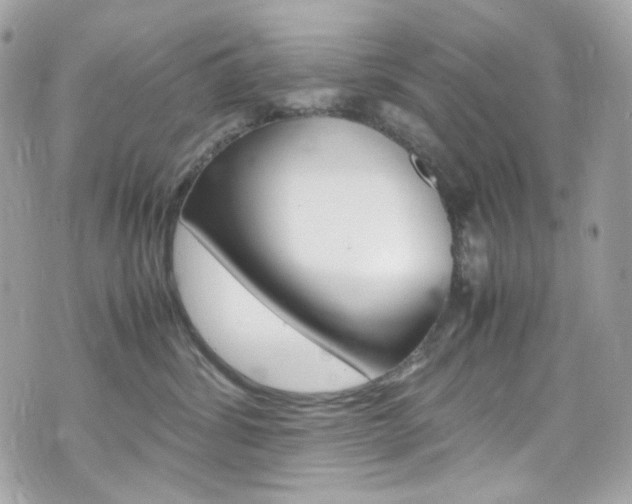 X0000070850428200606160947