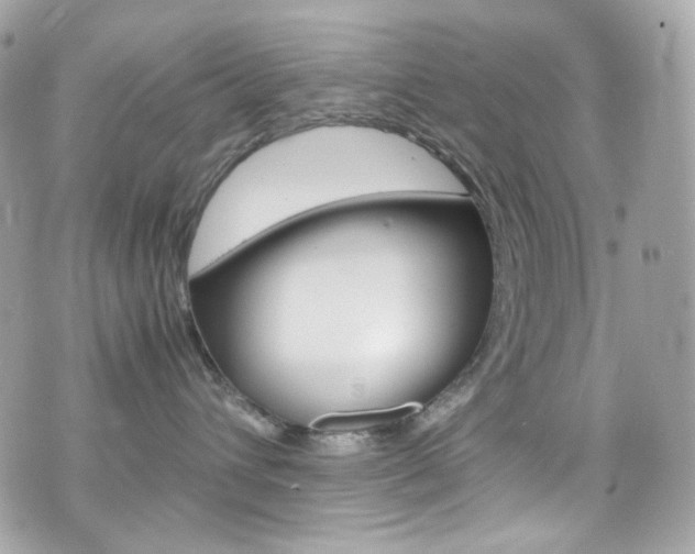 X0000070850432200606160947