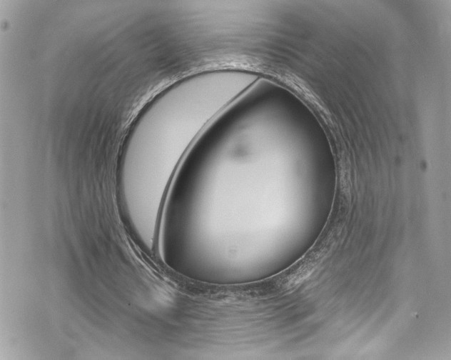 X0000070850434200606160946