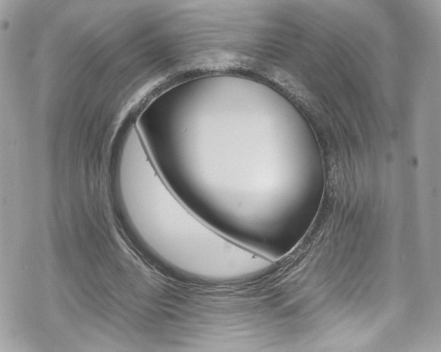 X0000070850440200606160946