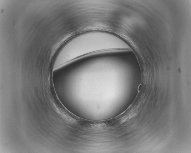 X0000070850446200606160946