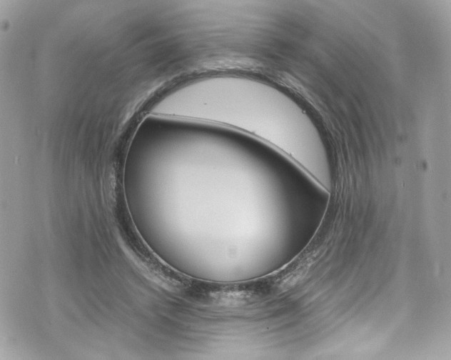 X0000070850448200606160946