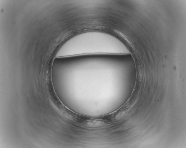 X0000070850451200606160946