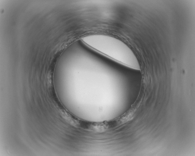 X0000070850466200606160946