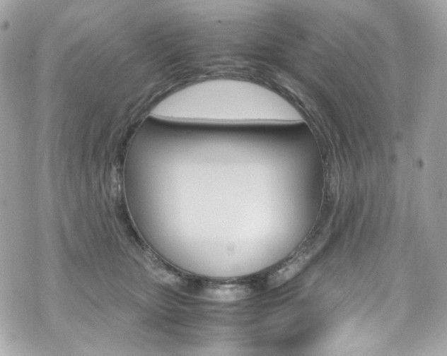 X0000070850467200606160946