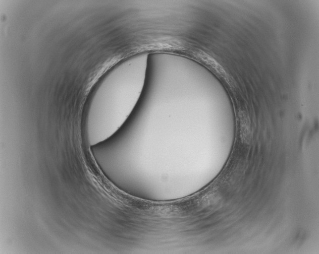 X0000070850482200606160946